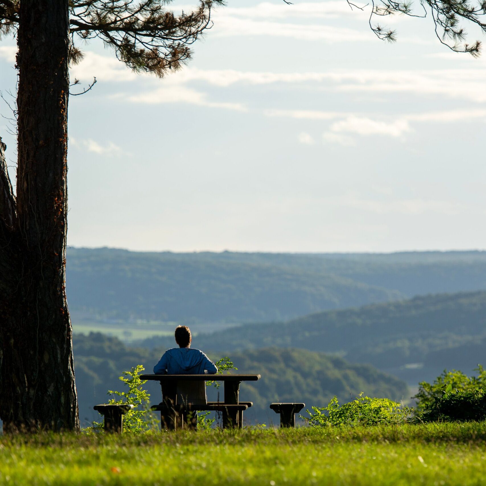man looking over valley